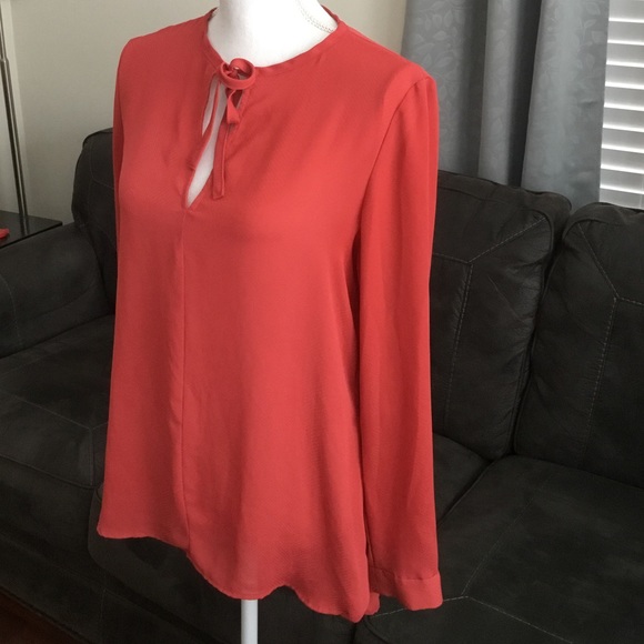 Semi Sheer - Picture 2 of 6